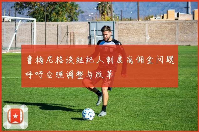 鲁梅尼格谈经纪人制度高佣金问题呼吁合理调整与改革